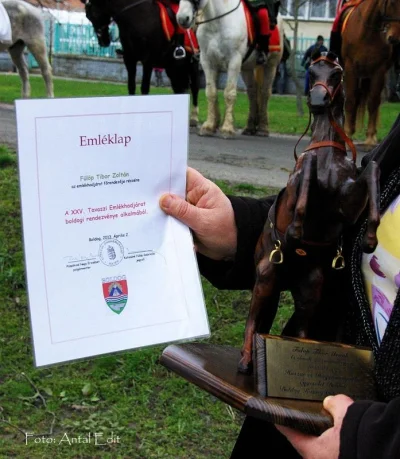 IMGP7437fulop emleklapk